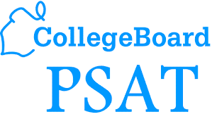Post-PSATs Interview With Juniors
